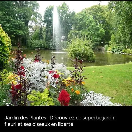 Le Commerce, Hypercentre, Situation Exceptionnelle